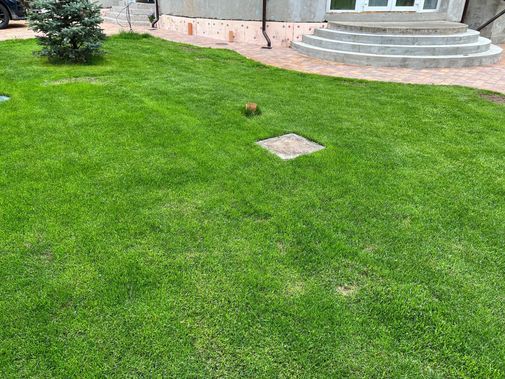 Люк под брусчатку Брус Ли AISI 316 Люк под брусчатку Брус Ли AISI 316